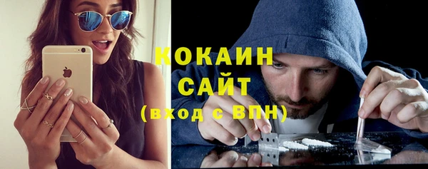 PSILOCYBIN Каменногорск