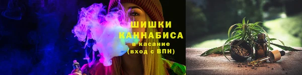 PSILOCYBIN Каменногорск