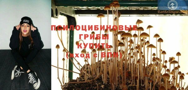 МДПВ Каменск-Шахтинский