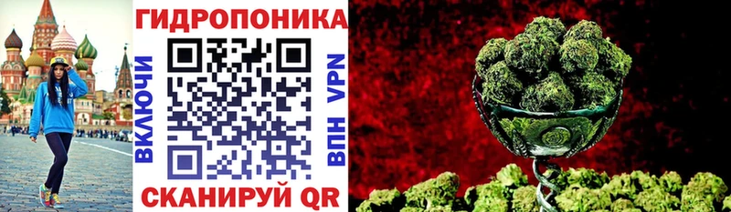 Канабис планчик  Купить закладки  Бологое 